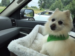 Marzi listening to Frances ordering the Treats