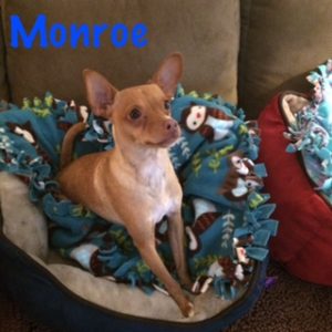 Monroe blanket