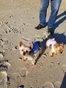 Raini at the Beach