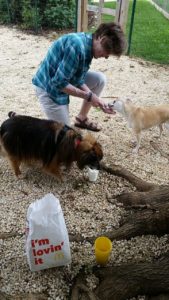 Tammy Two Too and Daphne - Adventure Day picnic