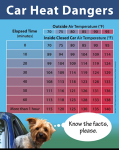 HeatConversionForCars