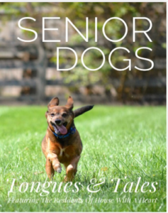 Senior Dogs: Tongues & Tales