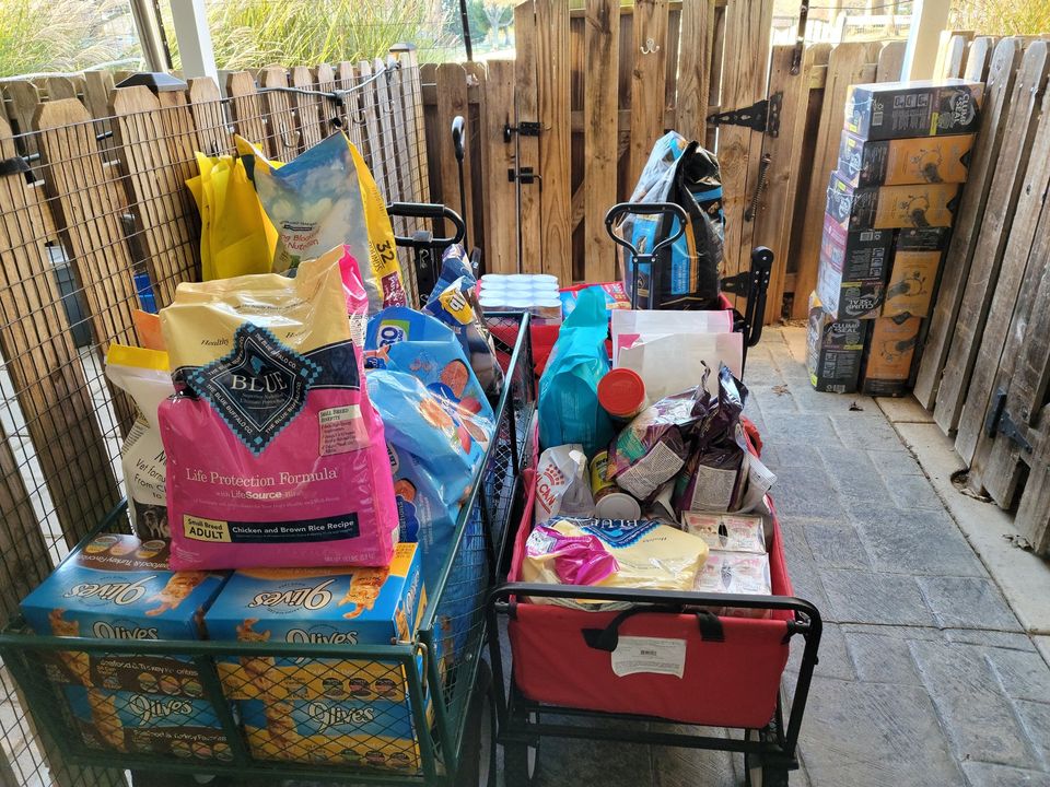 Donations of Cat & Dog Supplies