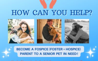 How Can You Help – FOSPICE