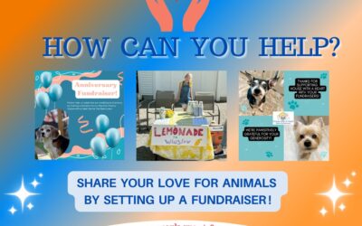 How Can You Help – Fundraising!