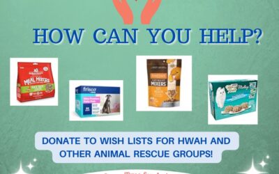 How Can You Help – Wish Lists