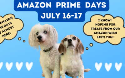 Amazon Prime Days are Here!