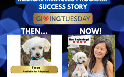 Giving Tuesday – New Beginnings – Tyson