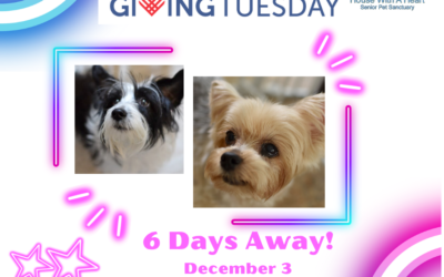 SAVE THE DATE:  Giving Tuesday December 3rd