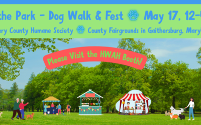 Paws in the Park – May 17th Noon to 4pm