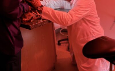 Hershey Kiss Update!