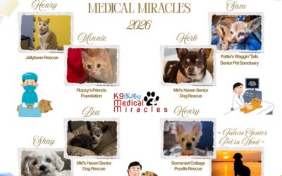 💖Medical Miracle Storytime💖