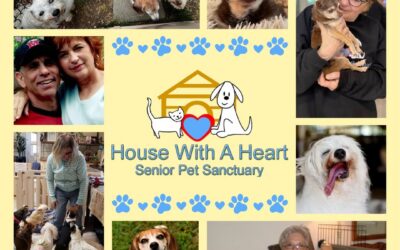 House with a Heart’s Legacy of Love: 20 Years & Counting