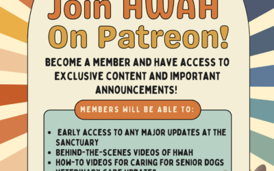 💖House with a Heart is now on Patreon!!💖