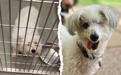 ❤️House with a Heart’s Legacy of Love: Marco’s Then vs Now❤️