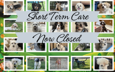 Short Term Care – Now Closed